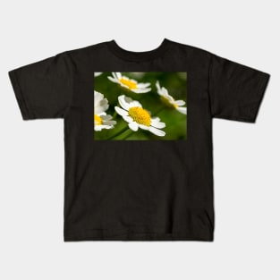 Daisies Kids T-Shirt